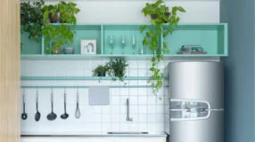 Foto de plantas pendentes 0 - 2