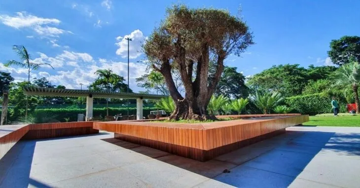 Foto de banco de jardim 43 - 43