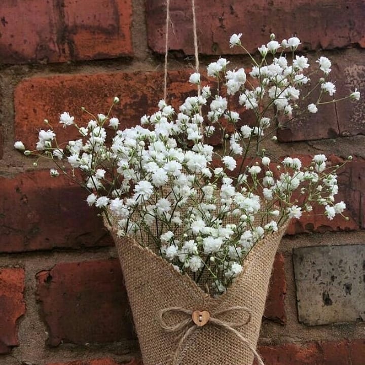 Foto de flor mosquitinho 32 - 35