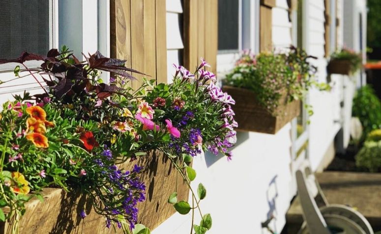 Floreira de madeira: 60 modelos cheios de charme para decorar a casa