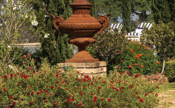 Foto de flores do campo 91 - 95