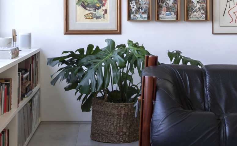 Foto de plantas para apartamento 900 - 12