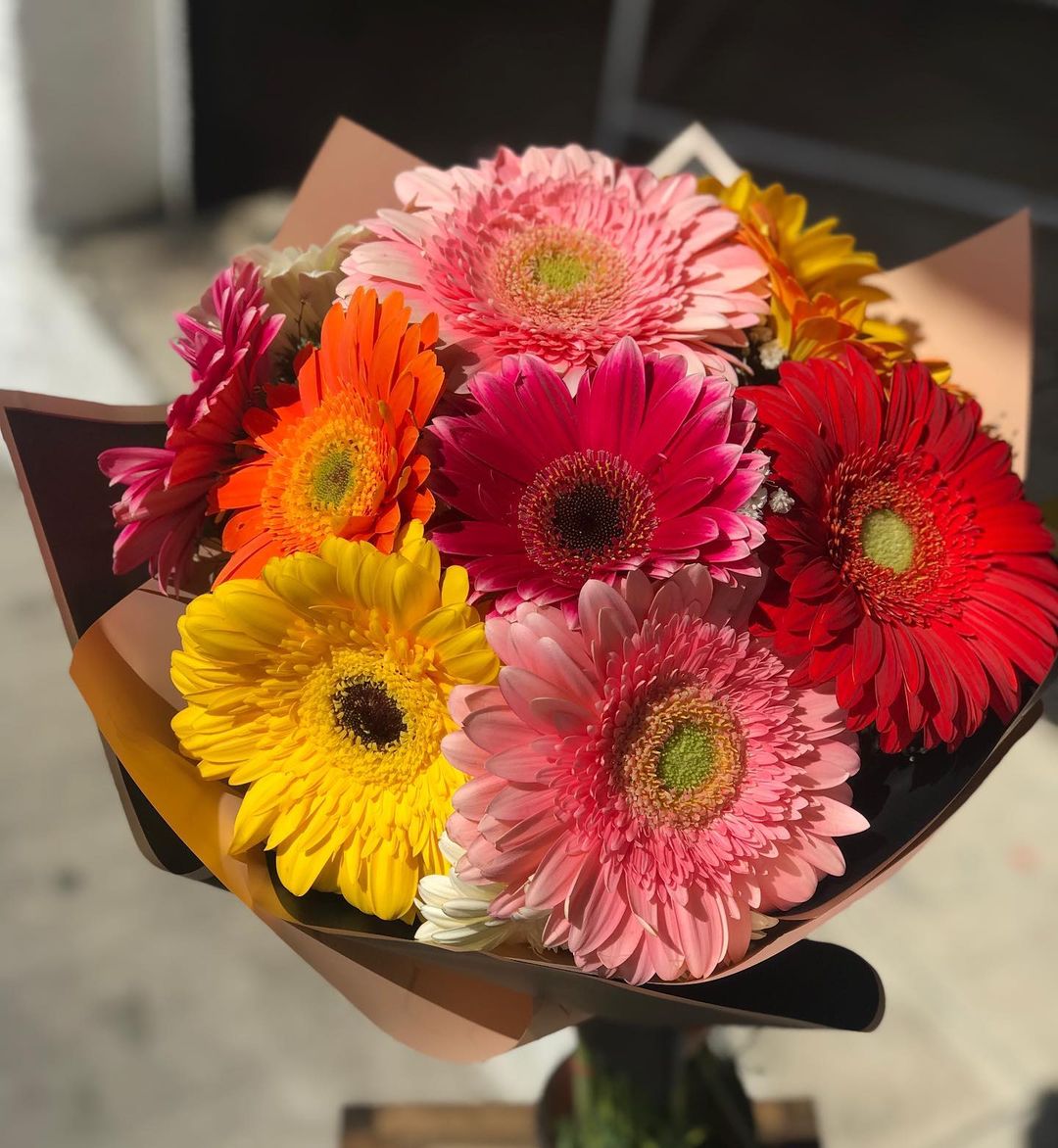 Foto de gerbera 29 - 32