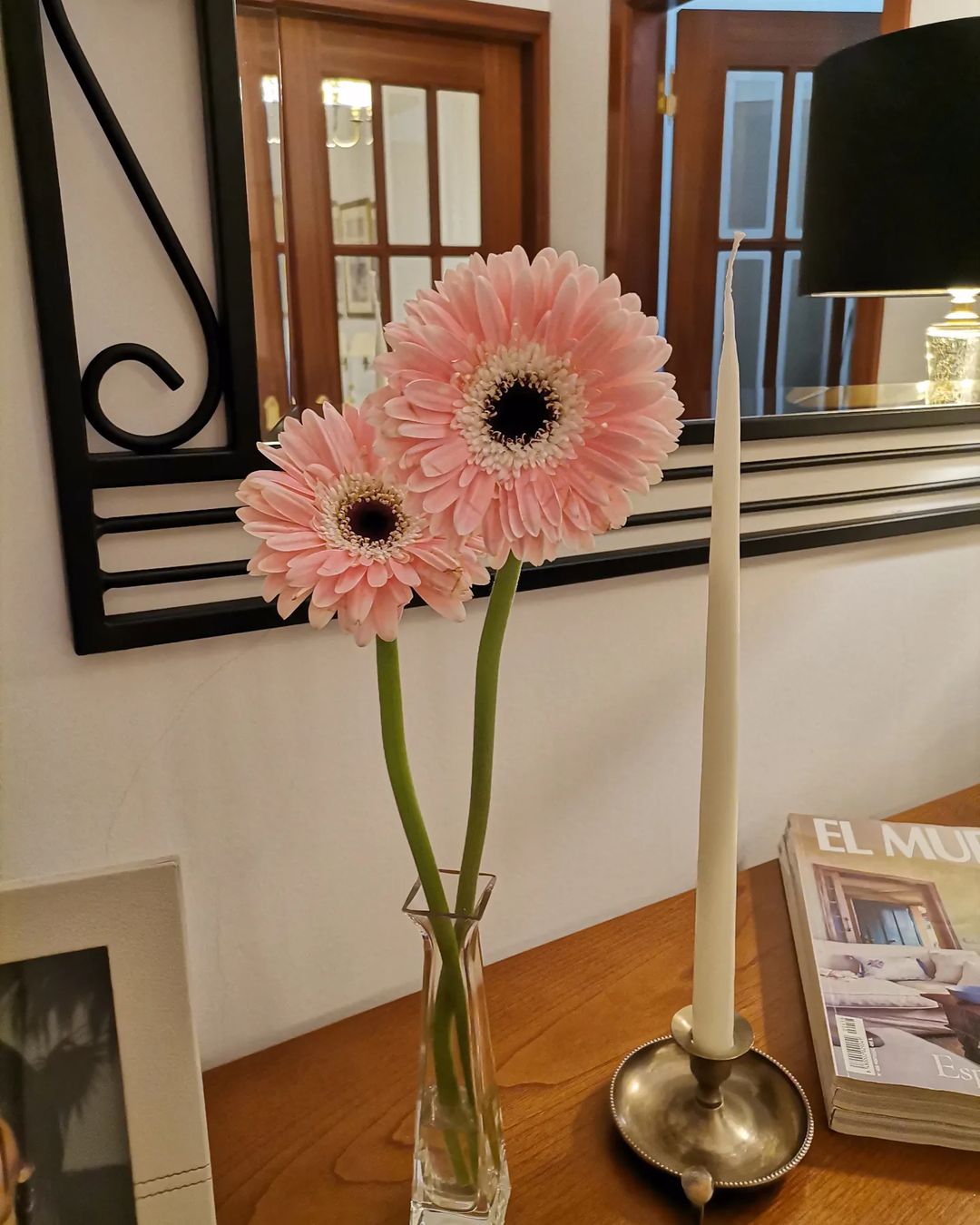 Foto de gerbera 31 - 32