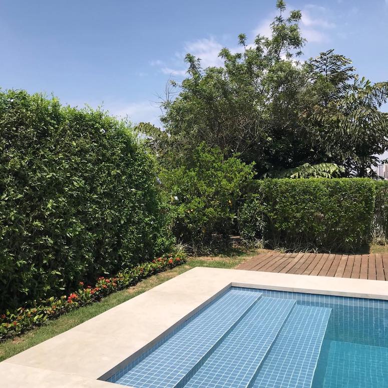 Foto de revestimento para piscina 50 - 56