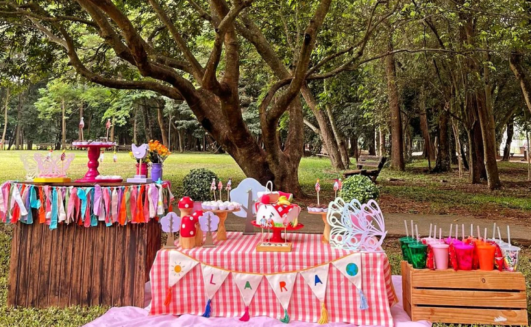 Foto de tema de festa infantil 014 - 17