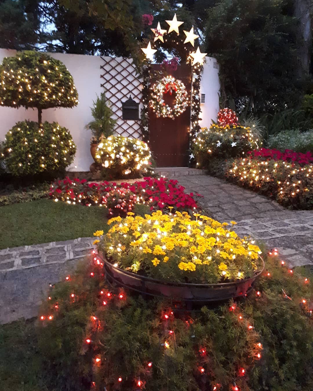 Foto de decoracao de natal para jardim 5 - 4