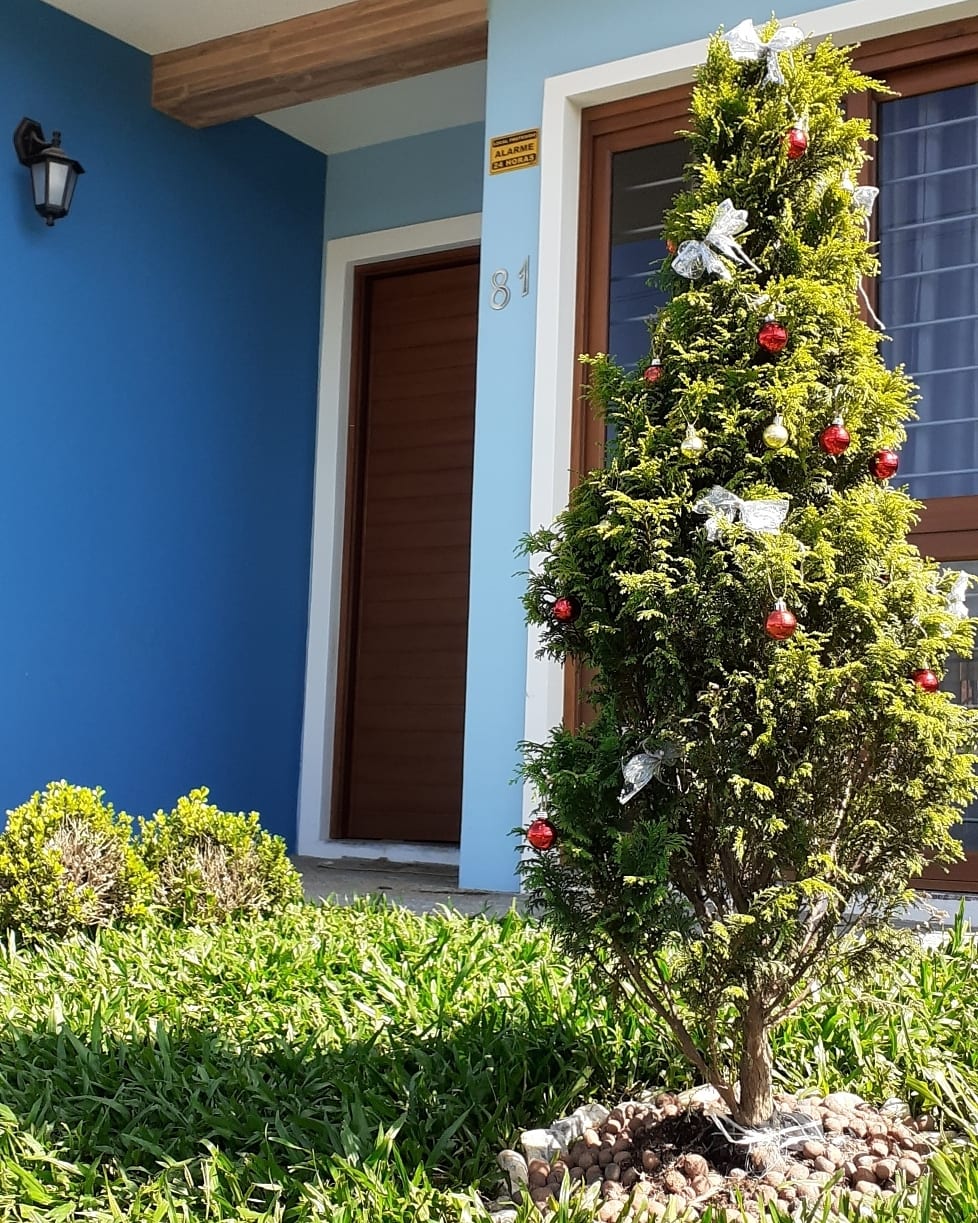 Foto de decoracao de natal para jardim 9 - 8