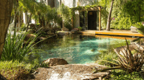 Foto de piscina natural 00 - 4