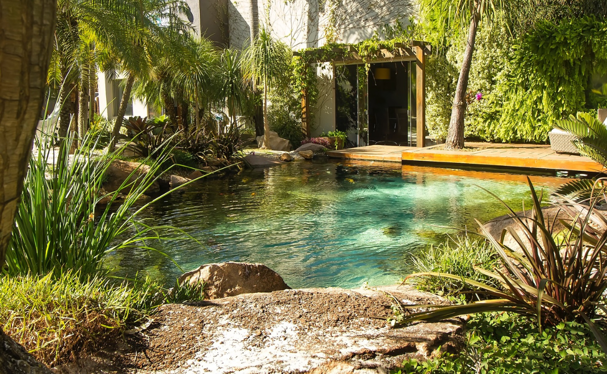 30 ideias de piscina natural para um refúgio da natureza em casa