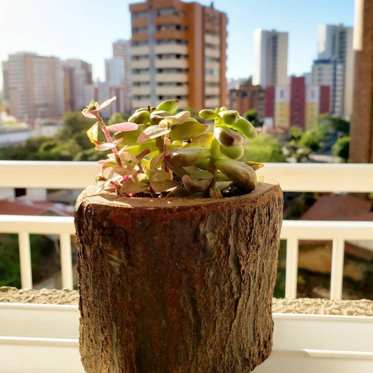 Foto de vaso de madeira 10 - 13