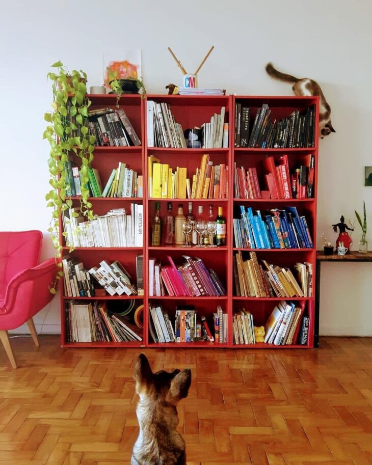 Foto de biblioteca em casa 22 - 26