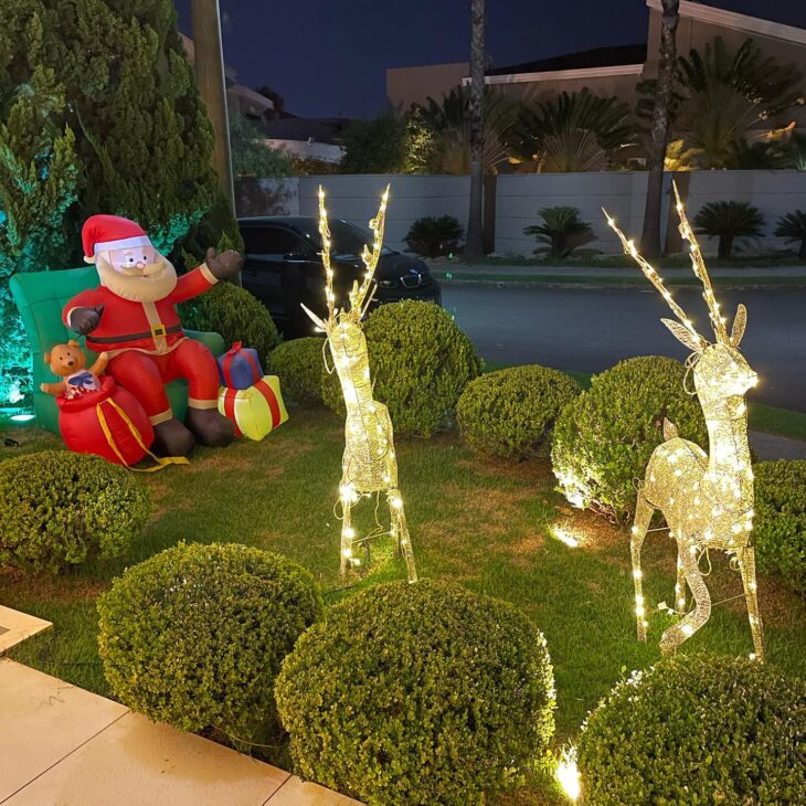 Foto de decoracao de natal de jardim 102 - 2