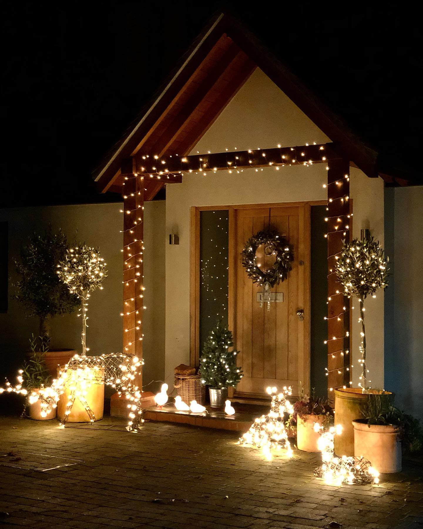 Foto de decoracao de natal para jardim 037 - 41