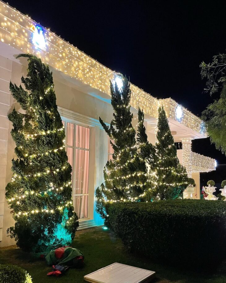 Foto de decoracao de natal para jardim 106 - 5