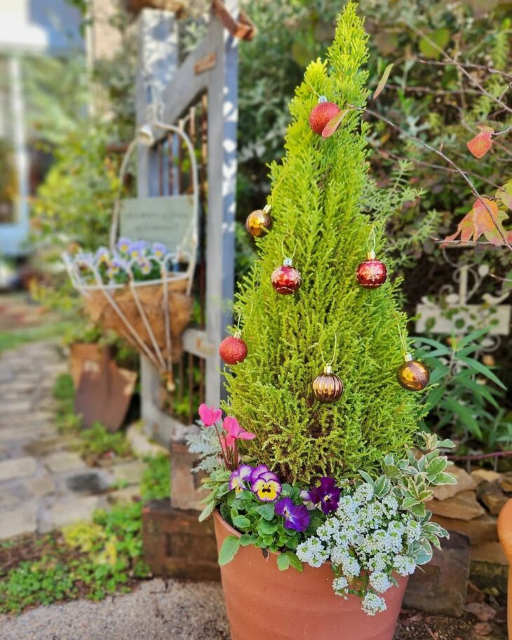 Foto de decoracao de natal para jardim 115 - 20