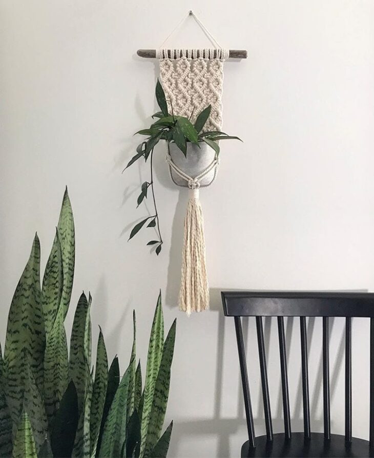 Foto de suporte de macrame para vaso 23 - 22