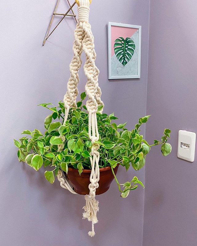 Foto de suporte de macrame para vaso 31 - 30