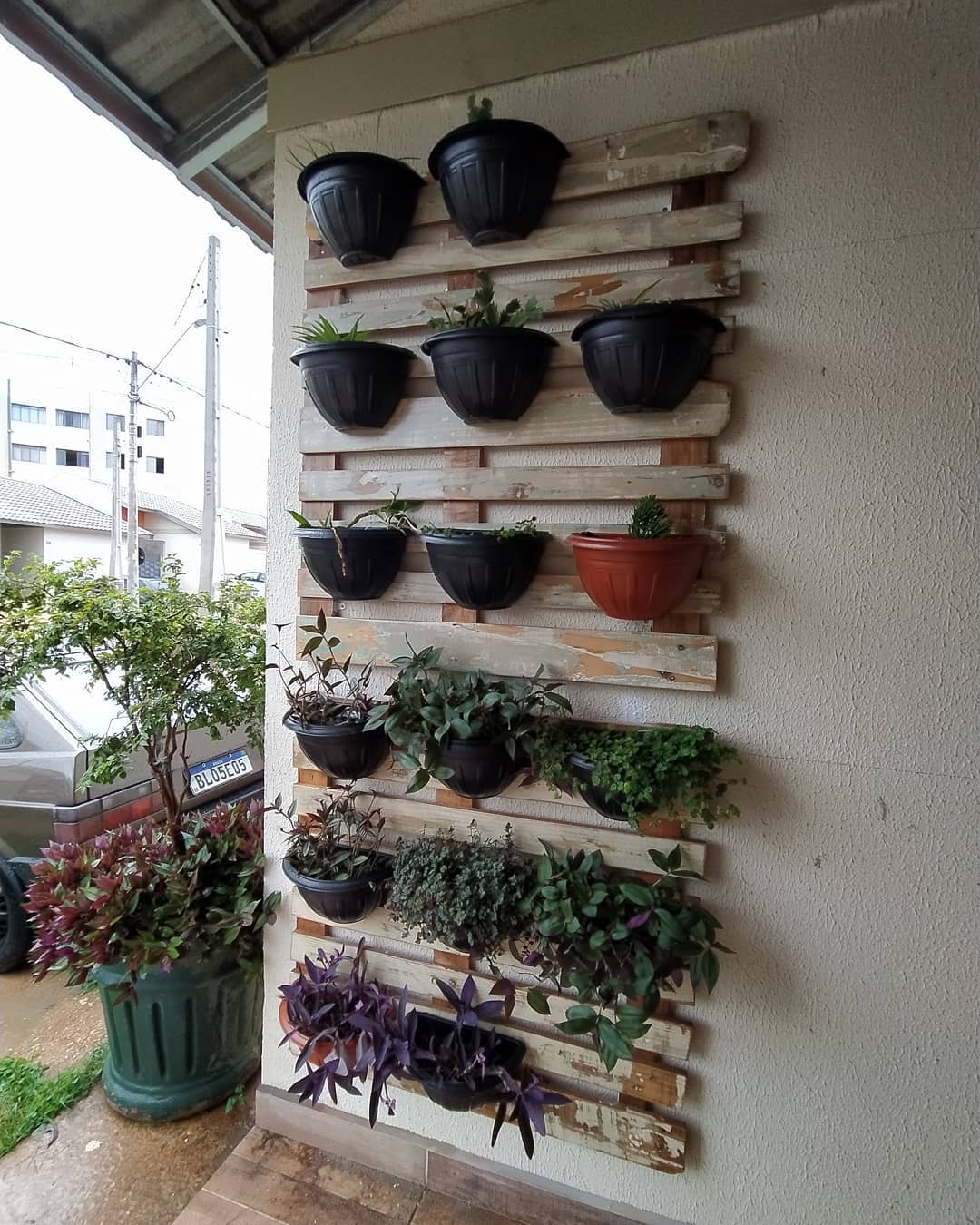 Foto de jardim vertical pallet 24 - 27