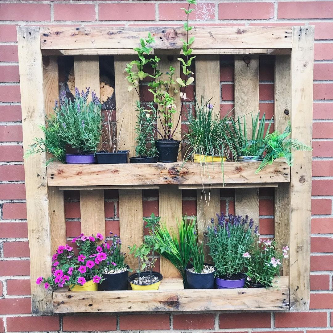 Foto de jardim vertical pallet 33 - 36