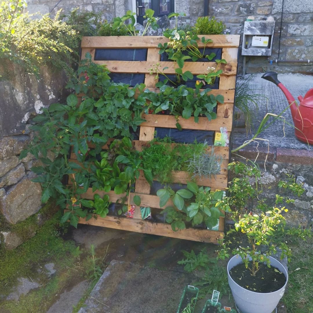 Foto de jardim vertical pallet 37 - 40