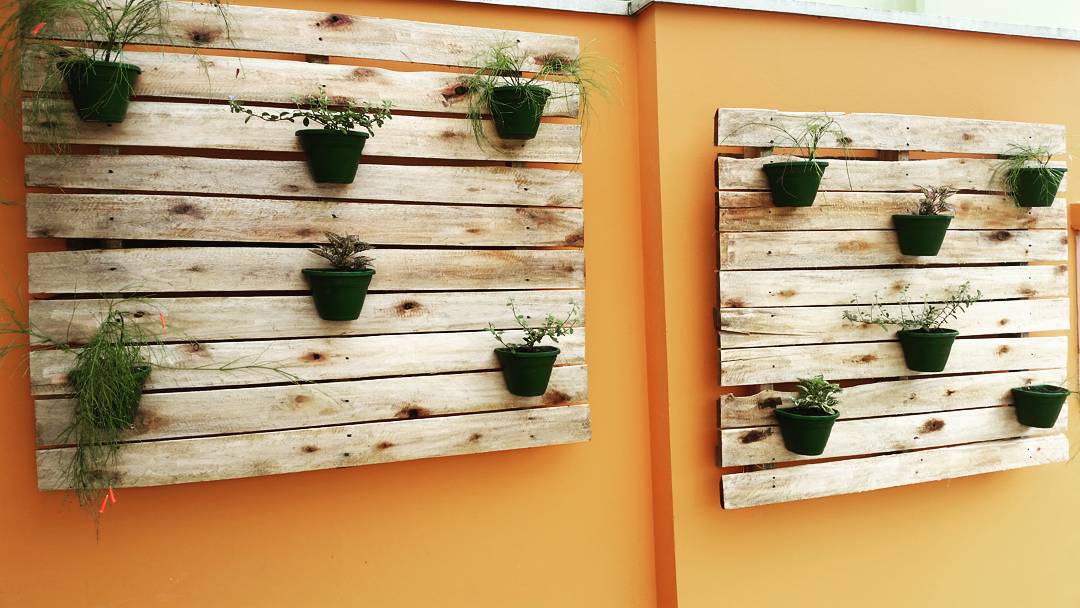 Foto de jardim vertical pallet 50 - 53