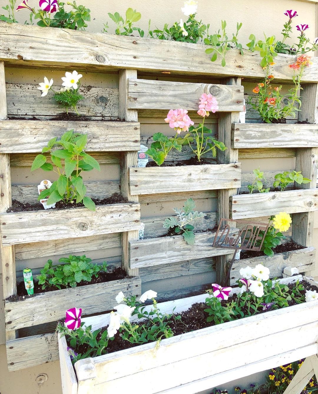 Foto de jardim vertical pallet 54 - 57