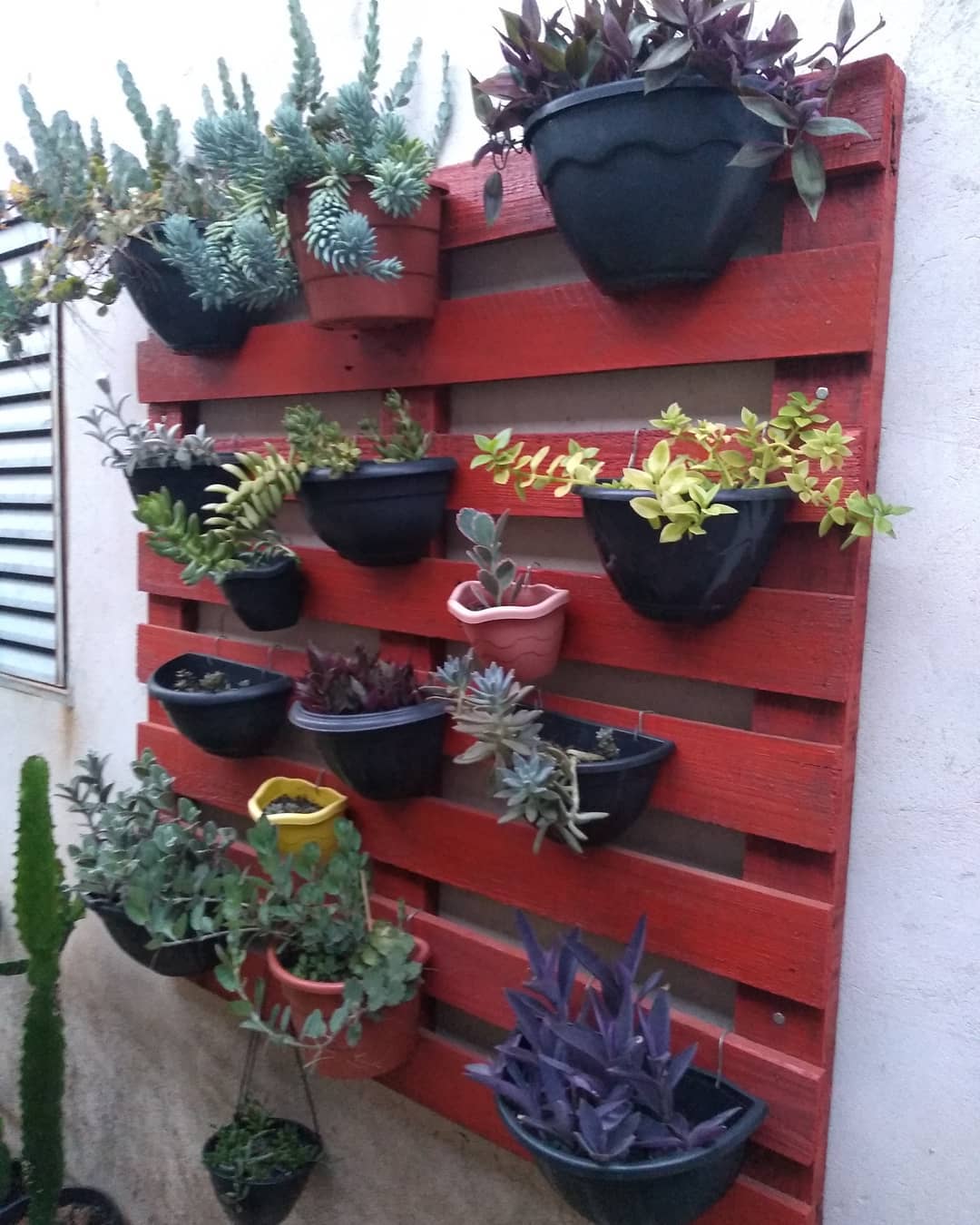 Foto de jardim vertical pallet 57 - 60