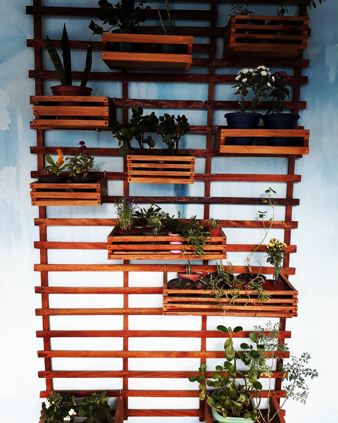 Foto de jardim vertical pallet 61 - 64