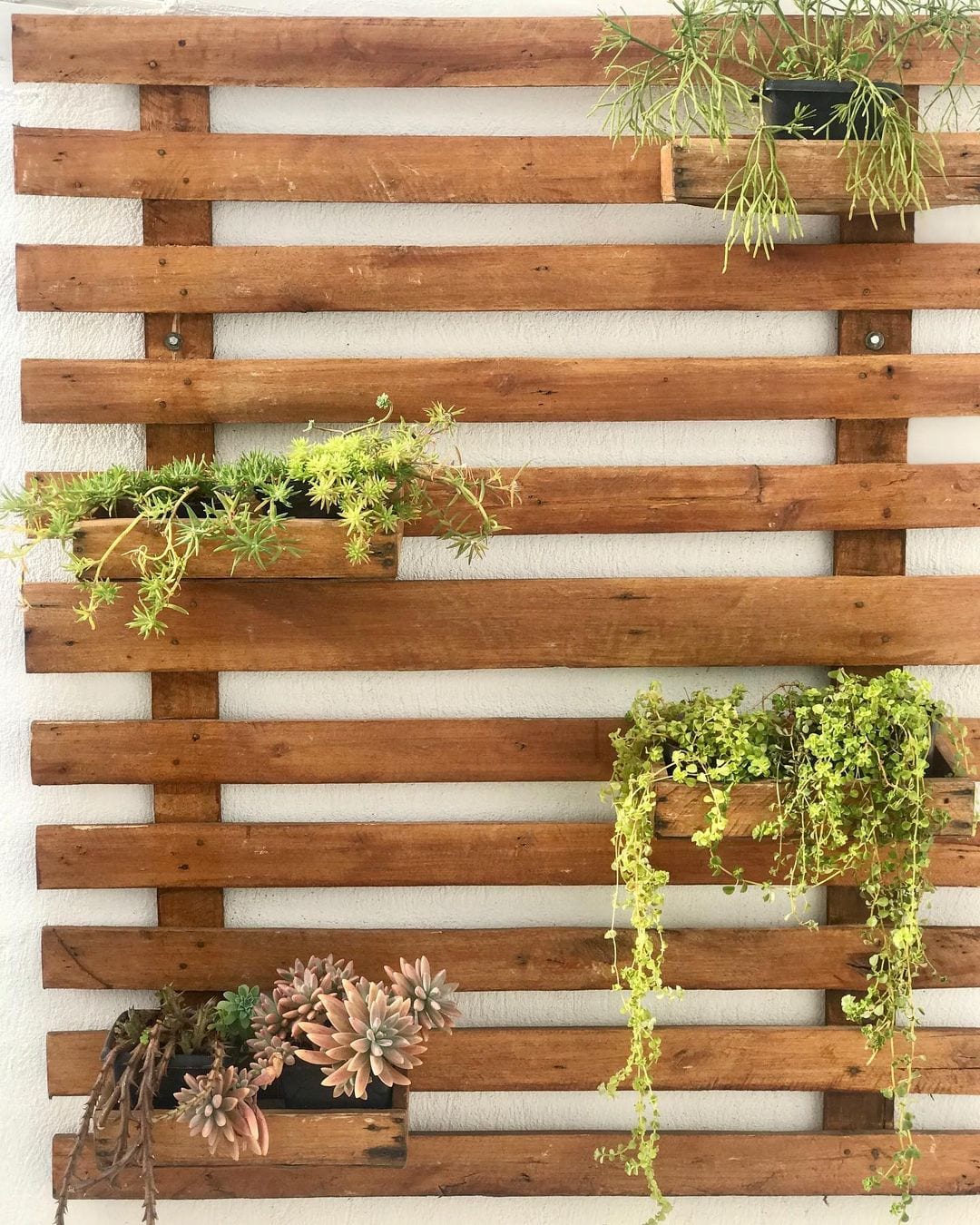 Foto de jardim vertical pallet 63 - 66