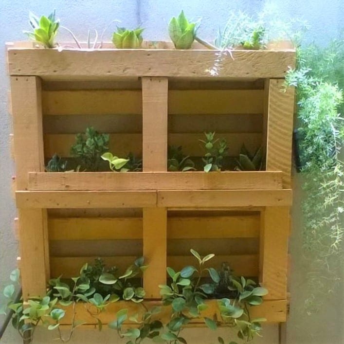 Foto de jardim vertical pallet 64 - 67