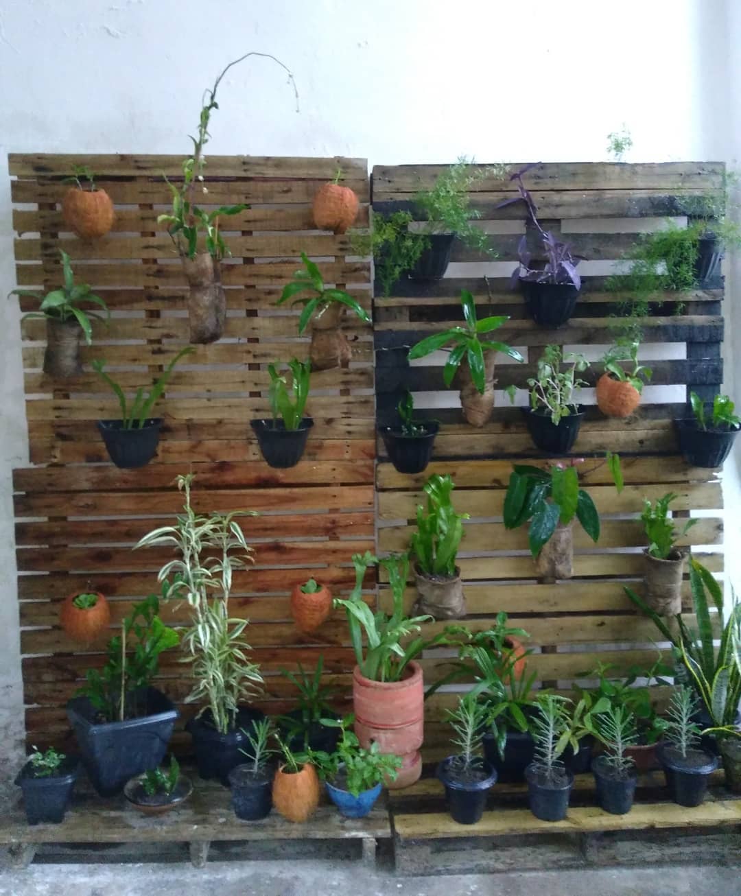 Foto de jardim vertical pallet 66 - 69