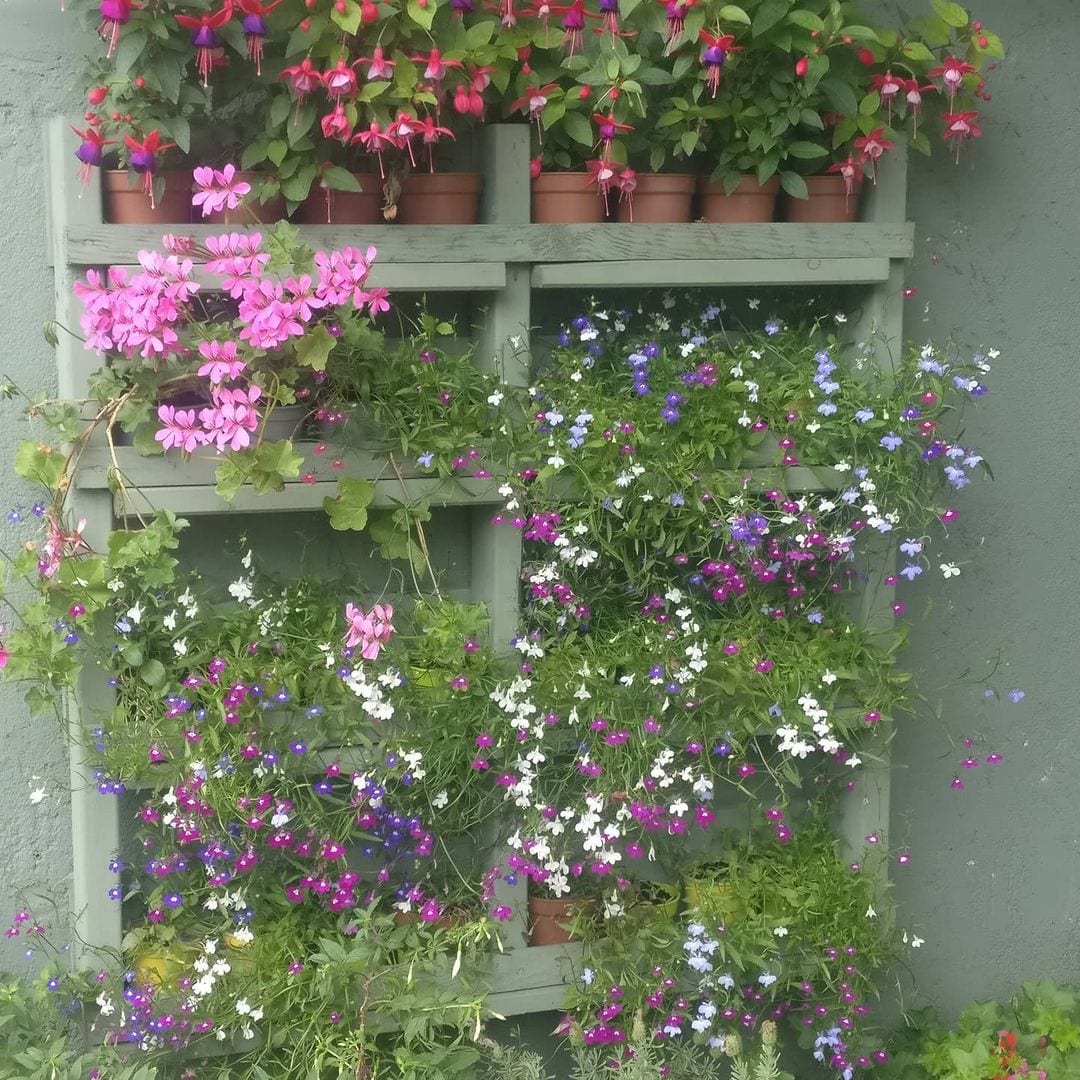 Foto de jardim vertical pallet 69 - 72