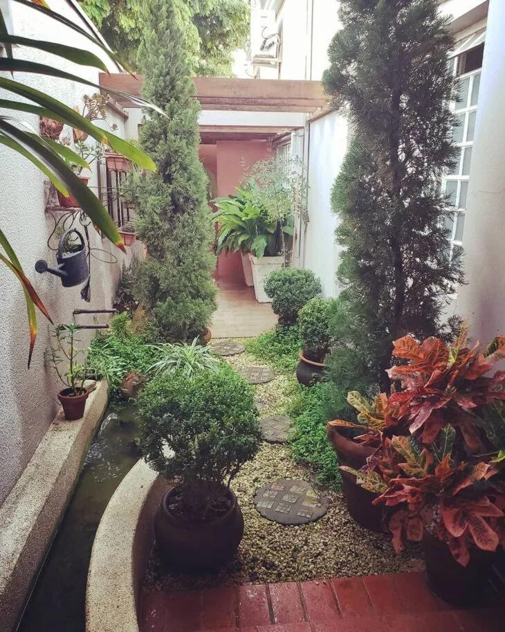Foto de jardim simples 25 - 32