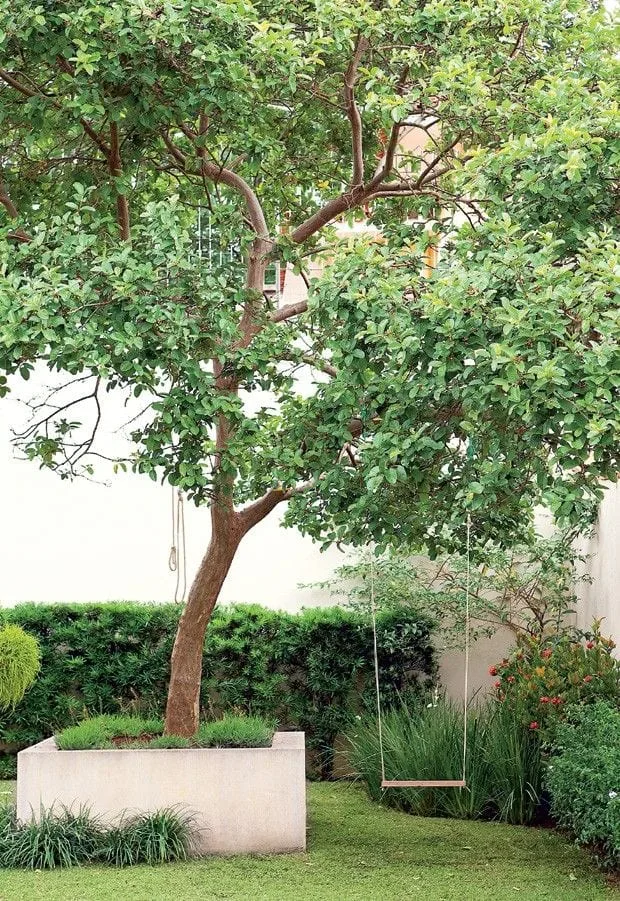 Foto de jardim simples 26 - 34