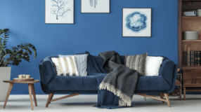 Foto de sofa azul marinho 0 - 67