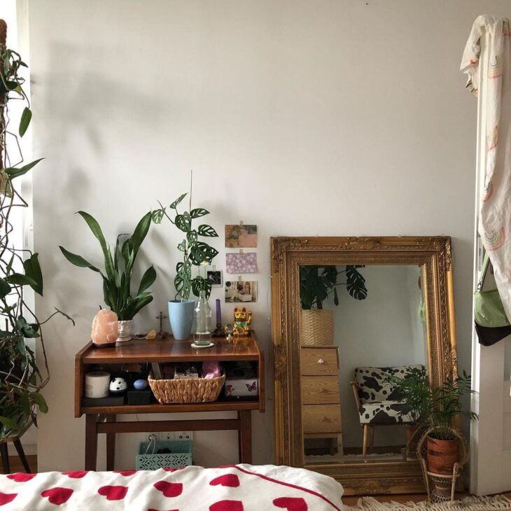 Foto de monstera adansonii 08 - 11