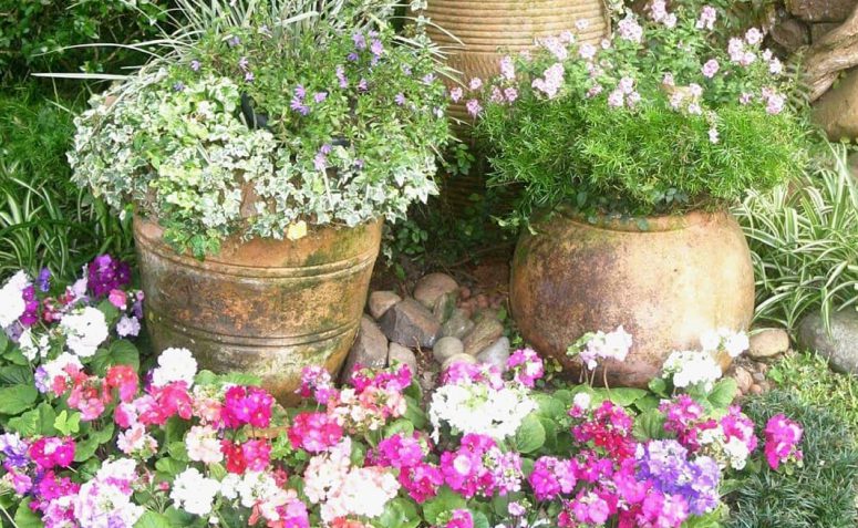 12 flores de inverno para trazer cor à estação mais fria do ano