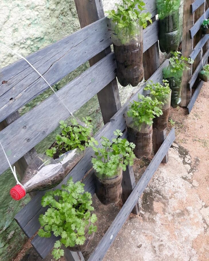 Foto de horta no quintal 3 - 6