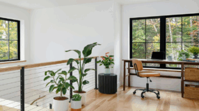 Foto de plantas para escritorio 00 - 5