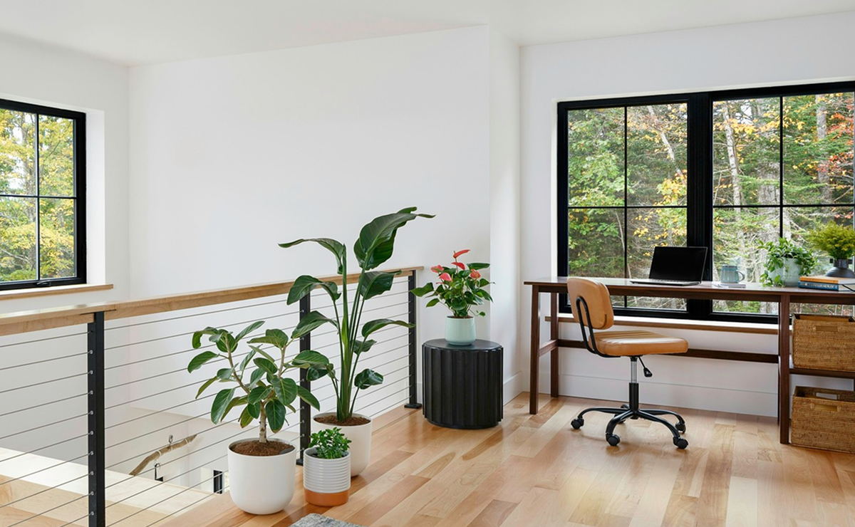 18 plantas para escritório que elevam a energia do ambiente