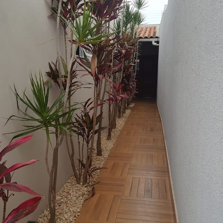 Foto de dracena vermelha 13 - 16