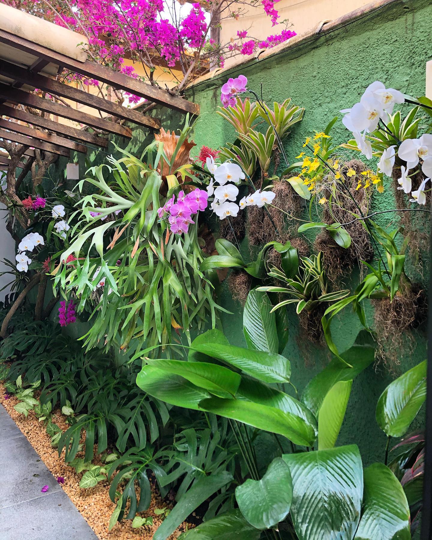 Foto de quintal pequeno 037 - 40