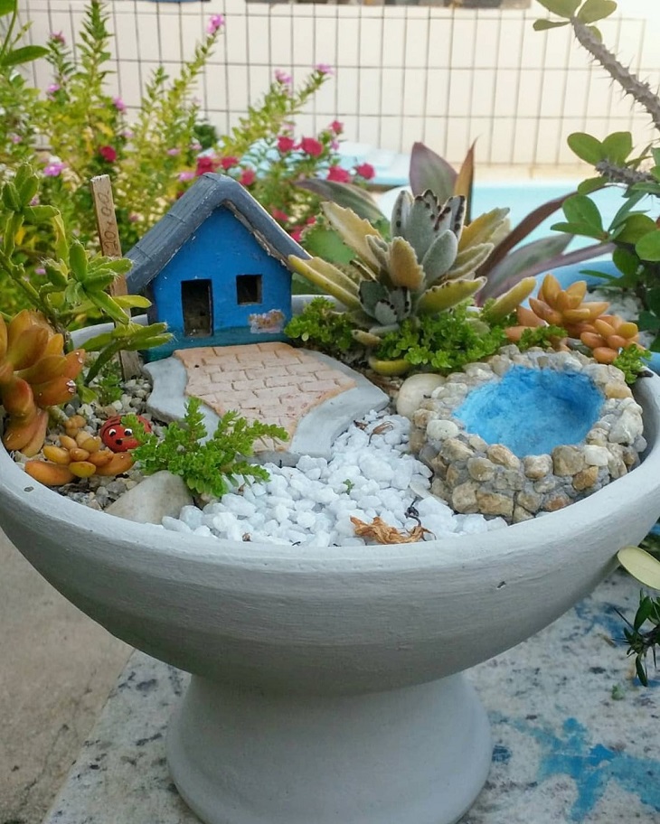 Foto de mini jardim de suculentas 12 - 14