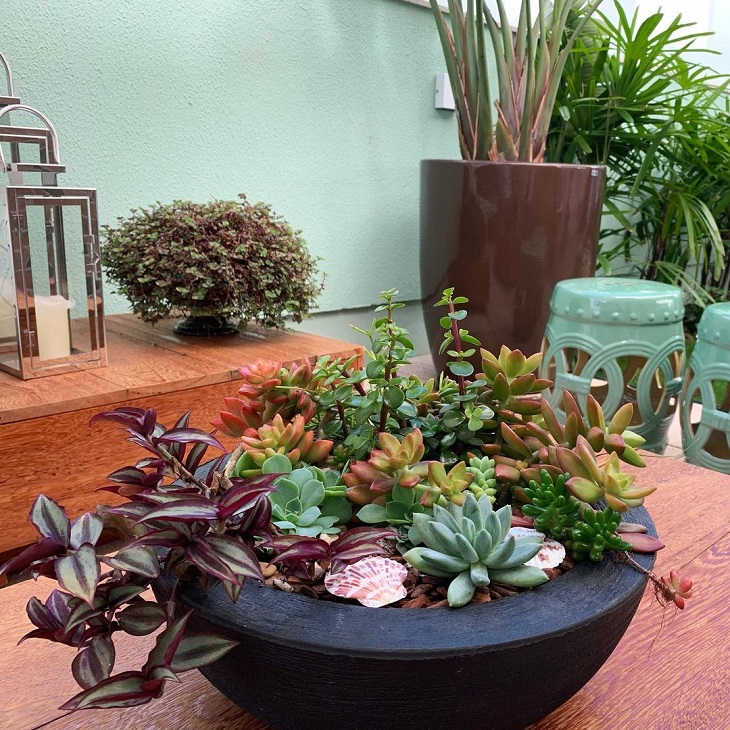 Foto de mini jardim de suculentas 31 - 33