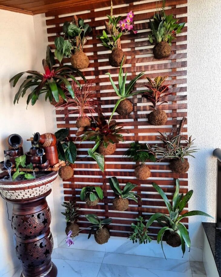 Foto de plantas aereas 15 - 18