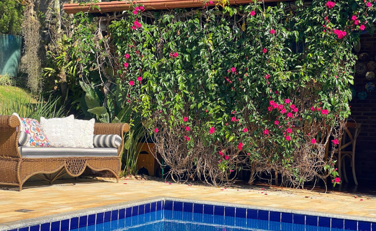 7 tipos de ipoméia para decorar o seu jardim