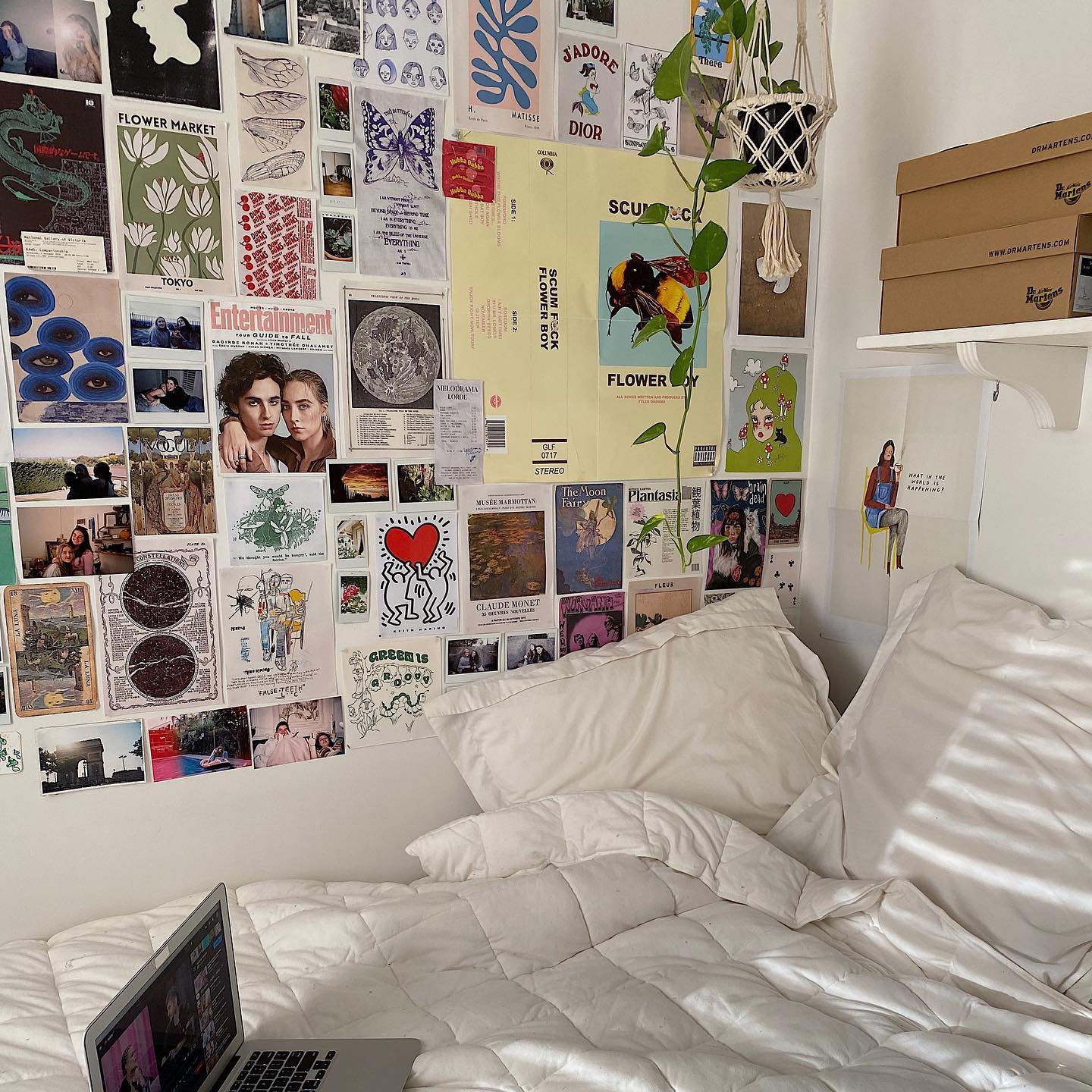 quarto aesthetic