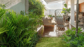 Foto de areca bambu 00 - 4