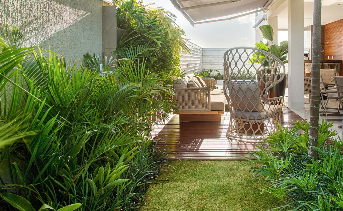 Como plantar areca-bambu: 6 dicas para cultivá-la em sua casa